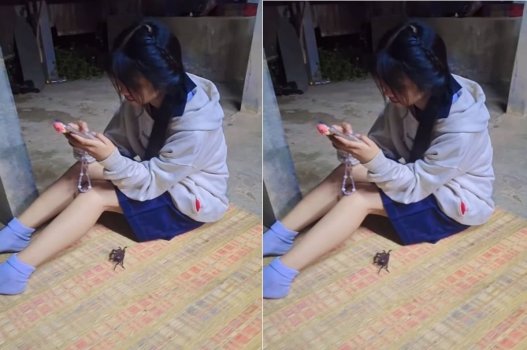 Đêm qua ghé chơi nhà bạn chủ yếu để thể hiện tình cảm